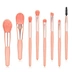 lip exfoliator brush